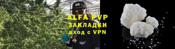 индика Нея