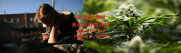 индика Нея