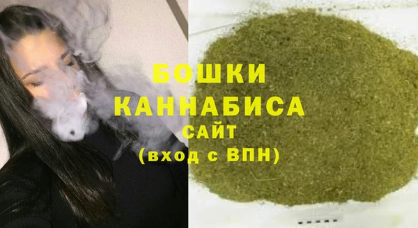 индика Нея