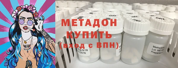 индика Нея