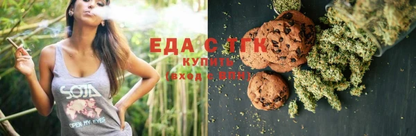 индика Нея