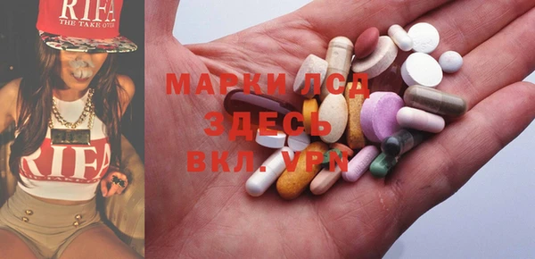 индика Нея