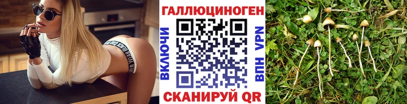 Купить где  Можга  Псилоцибиновые грибы ЛСД 